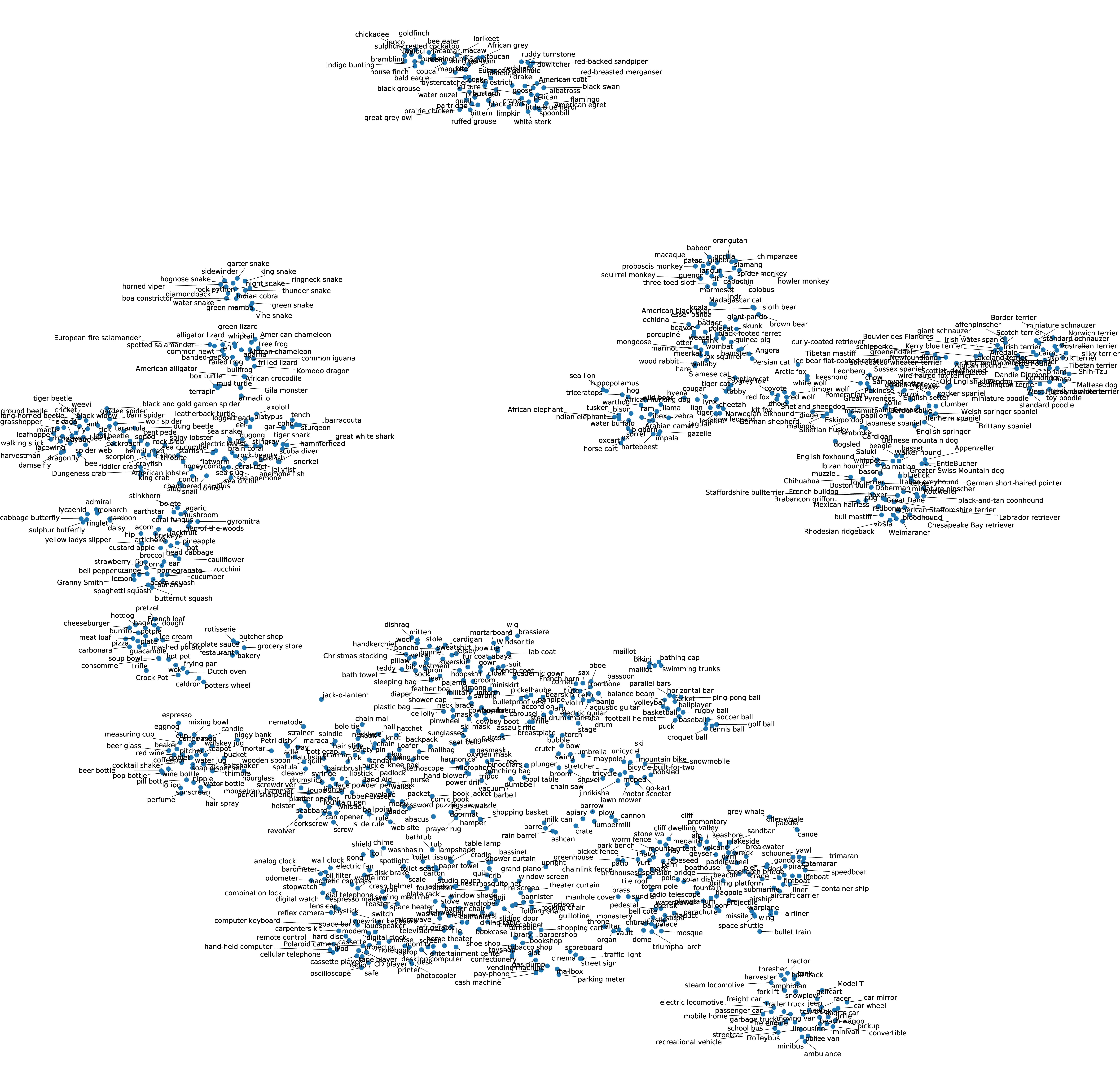 Figure 11: t-SNE visualization of ImageNet classes as represented using DINO. For each class, we obtain the embedding by taking the average feature for all images of that class in the validation set.